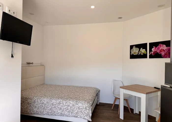 Casa Dona Alzira ホステル